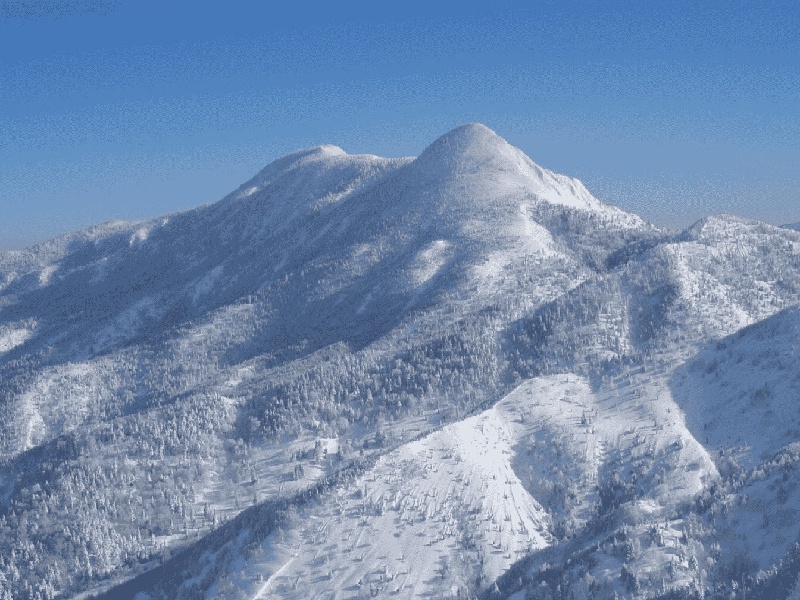 武鸣试管婴儿试管移植后测不测试管打丙球蛋白