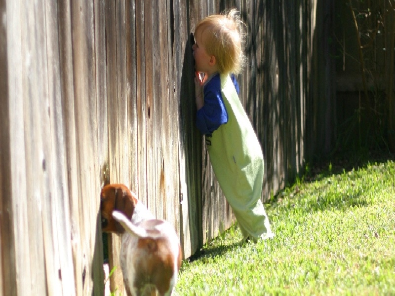 试管婴儿费用有哪些试管面膜怎么介绍做试管失败了吗